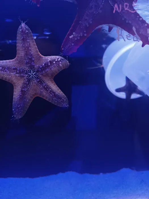 Aquaholic Aquariums LLC Picture 2