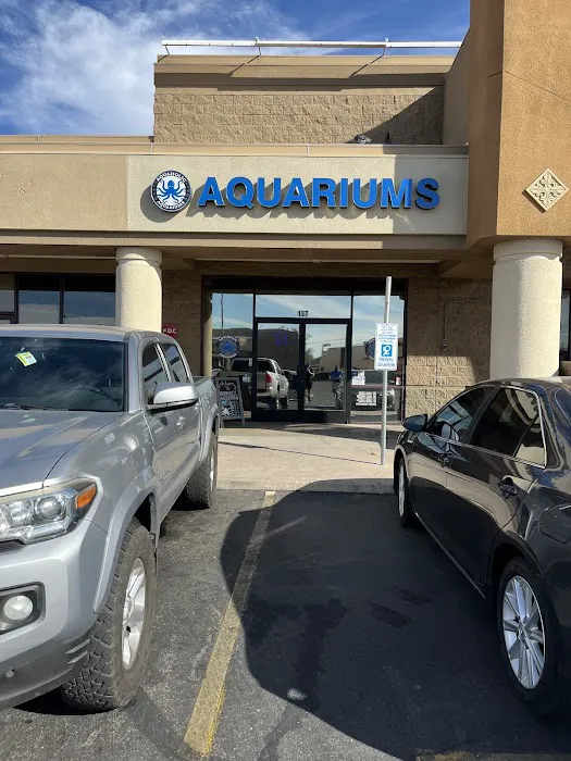 Aquaholic Aquariums LLC Picture 3