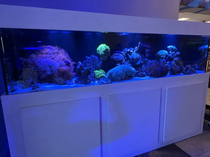 Aquaholic Aquariums LLC Picture 6