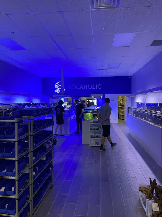 Aquaholic Aquariums LLC Picture 10