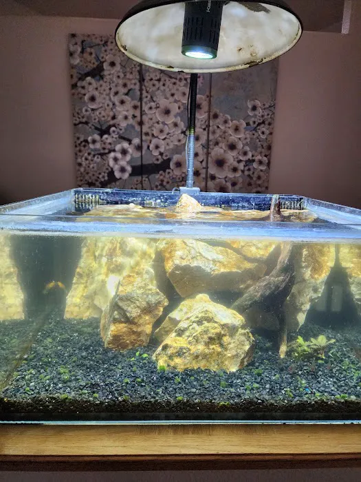 Aquaholic Aquariums LLC Picture 8