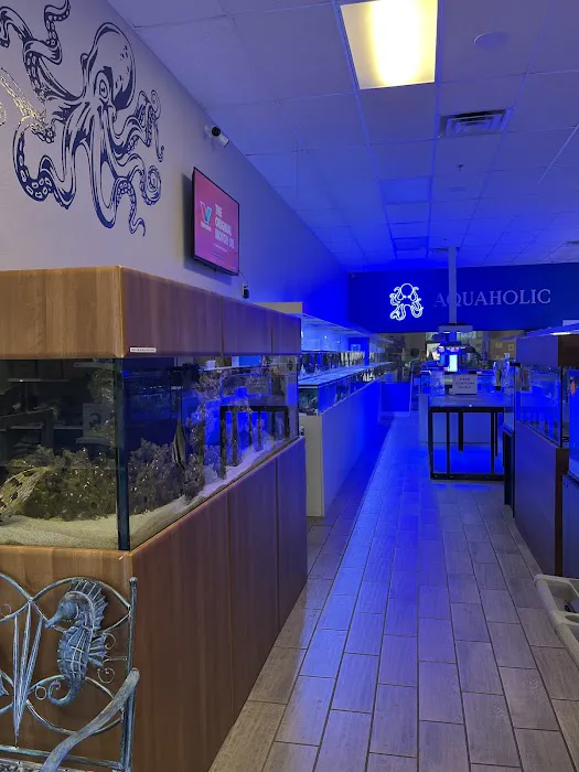 Aquaholic Aquariums LLC Picture 9