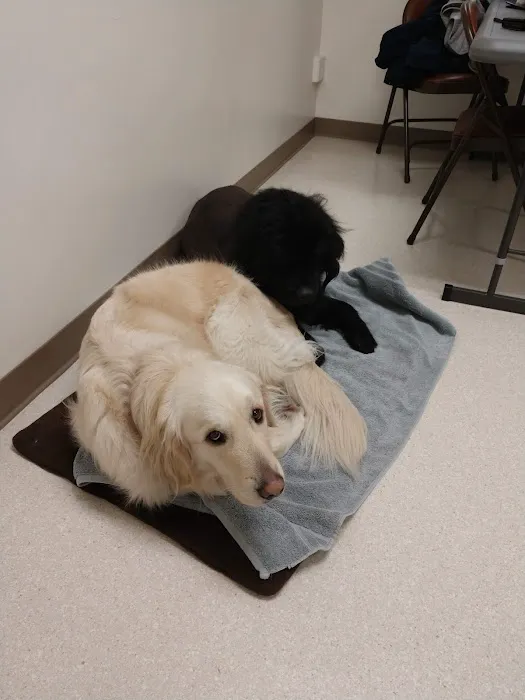 Stewart Veterinary Group Picture 5