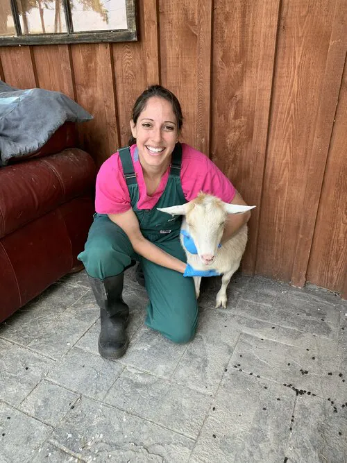GreenTree Veterinary Service Picture 5