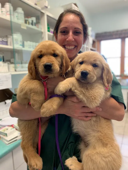 GreenTree Veterinary Service Picture 7