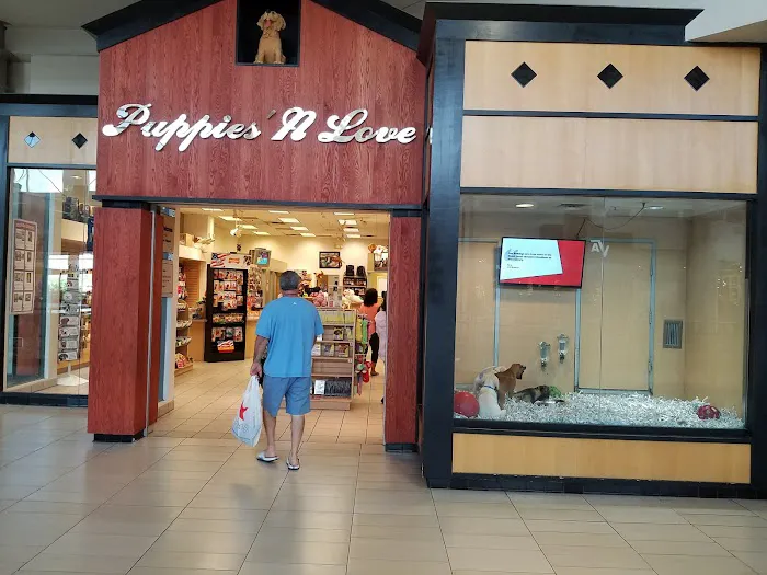Puppies 'N Love Picture 8