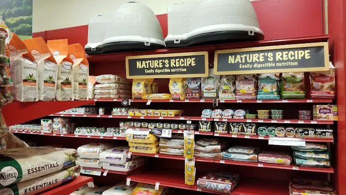 Petco Picture 3