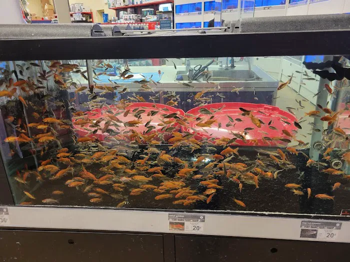 Petco Picture 5