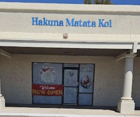 Hakuna Matata Koi