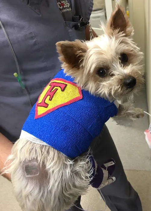 ACCESS Specialty Animal Hospitals - San Fernando Valley Picture 7
