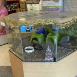 Petco