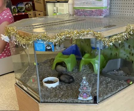 Petco