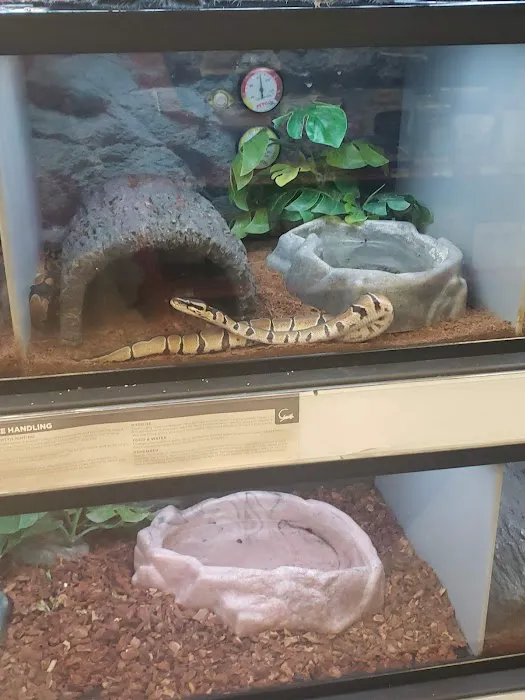 Petco Picture 7