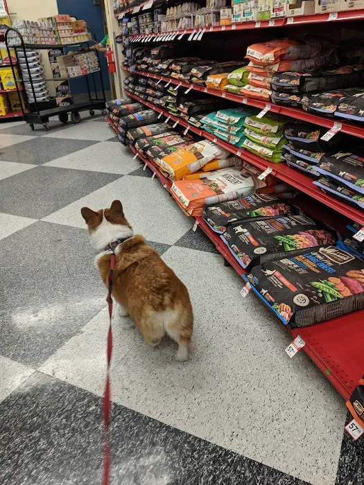 Petco Picture 5