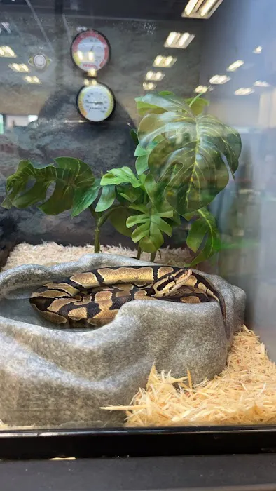 Petco Picture 4