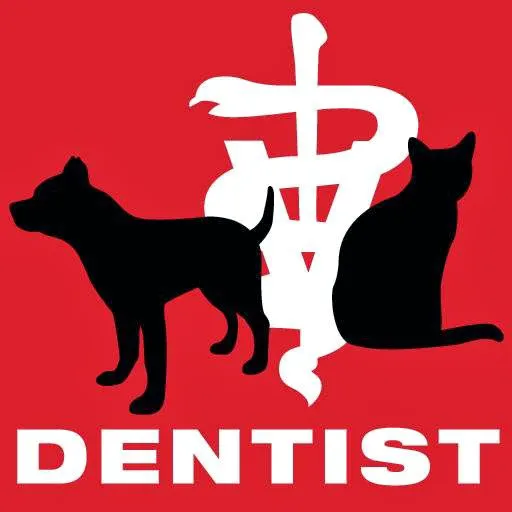 Dog and Cat Dentist, Inc. Picture 4