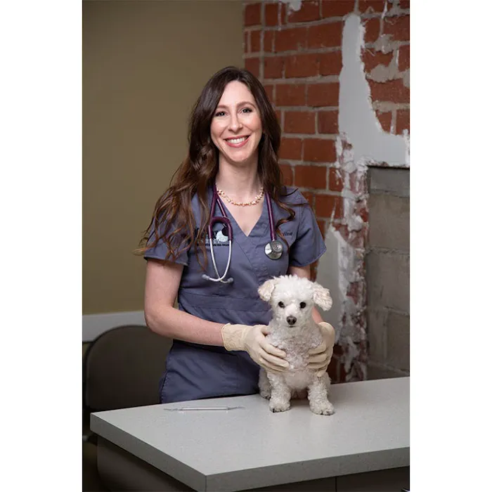 Dog and Cat Dentist, Inc. Picture 5