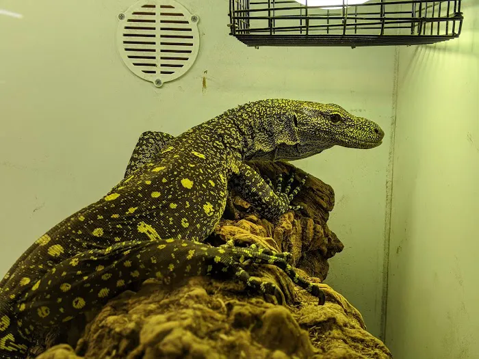 Predators Reptile Center Picture 7