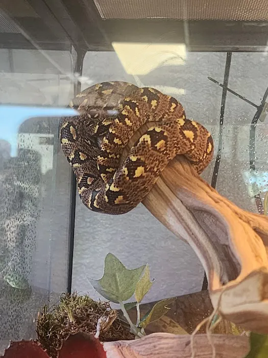 Predators Reptile Center Picture 5