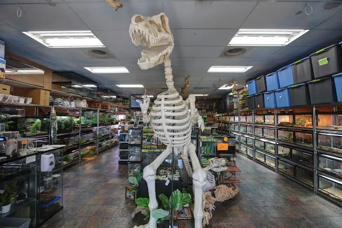 Predators Reptile Center Picture 8