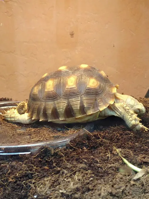 Predators Reptile Center Picture 9