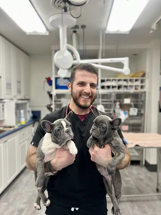 VCA McClave Animal Hospital Picture 4