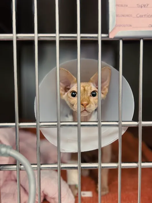 VCA McClave Animal Hospital Picture 3
