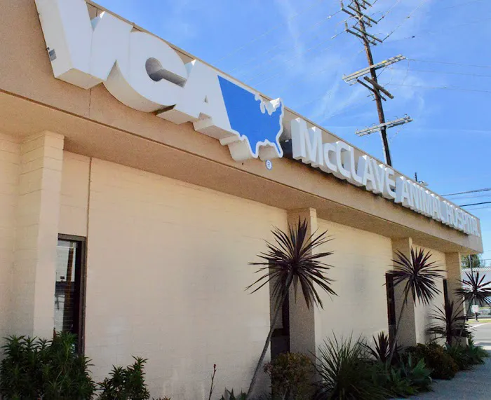 VCA McClave Animal Hospital Picture 9