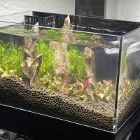 Kona Reef Az - Chandler ico