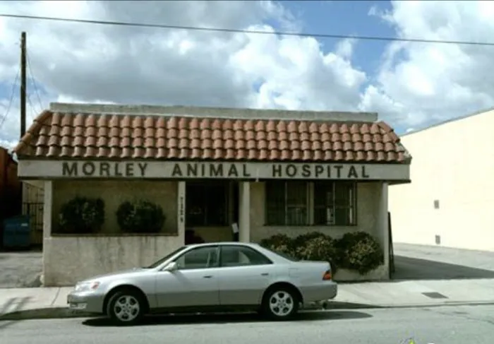 Morley Animal Hospital Picture 10