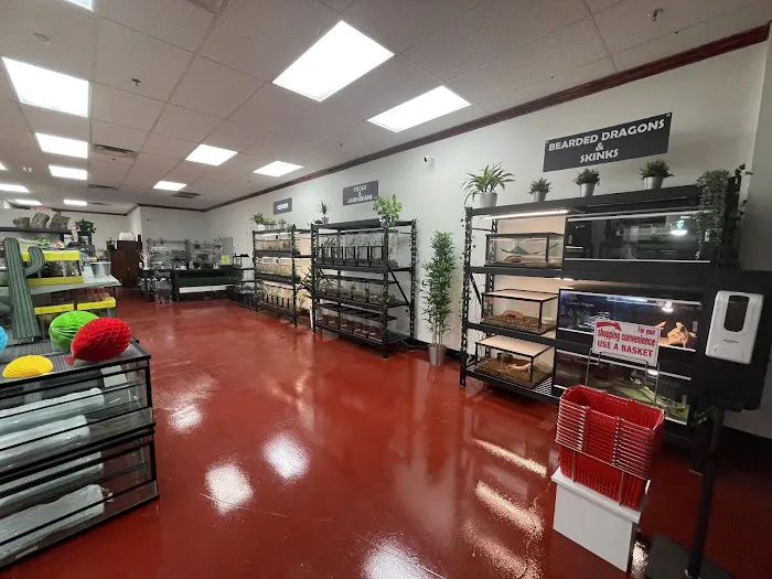 The Reptile Store Picture 2