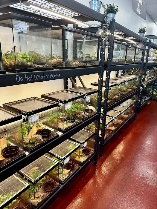 The Reptile Store Picture 6