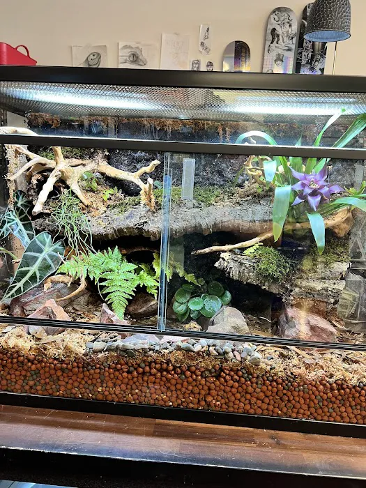 The Reptile Store Picture 4