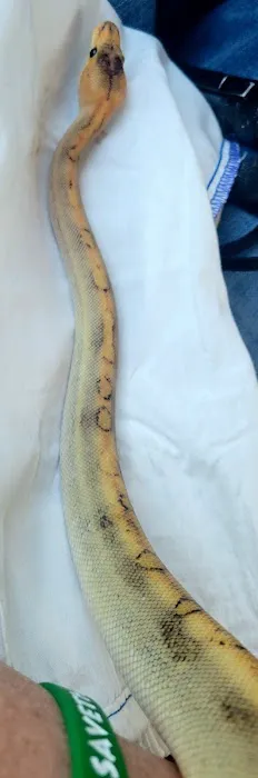 The Reptile Store Picture 3