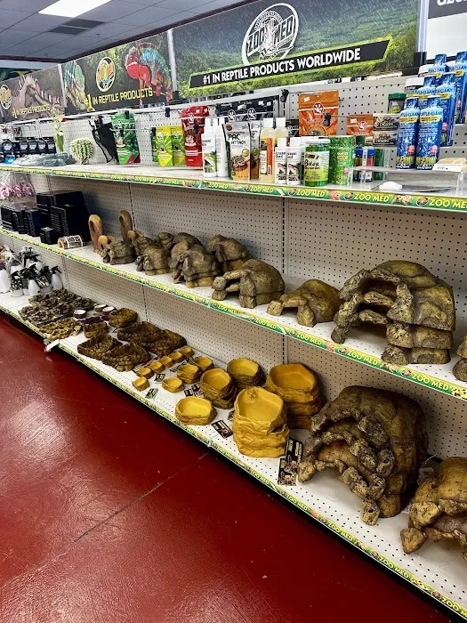 The Reptile Store Picture 10