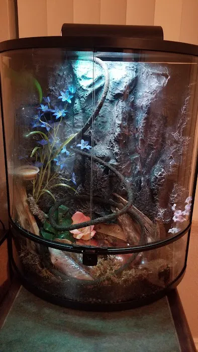 The Reptile Store Picture 7
