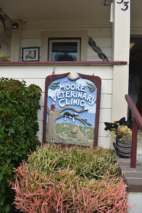 Moore Veterinary Care Picture 4