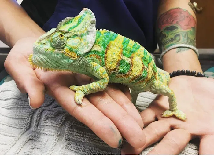 Moore Veterinary Care Picture 6
