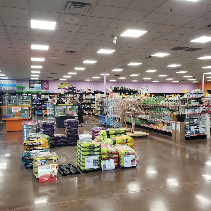 Pratt’s Pets - Mesa Picture 2