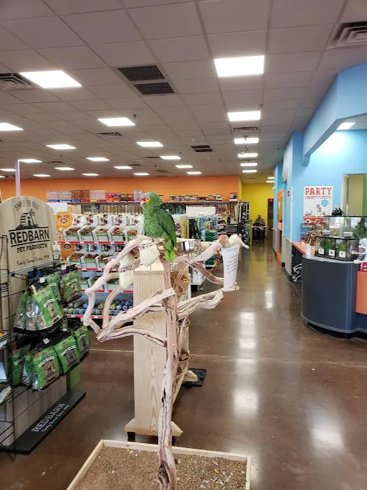 Pratt’s Pets - Mesa Picture 1
