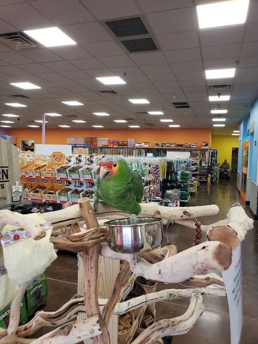 Pratt’s Pets - Mesa Picture 5