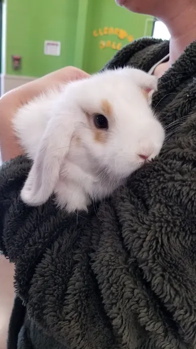 Pratt’s Pets - Mesa Picture 4