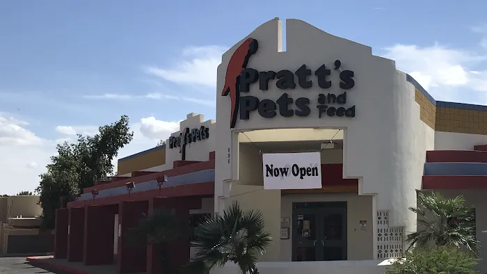 Pratt’s Pets - Mesa Picture 9