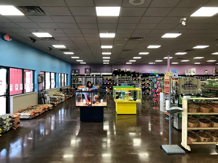 Pratt’s Pets - Mesa Picture 8