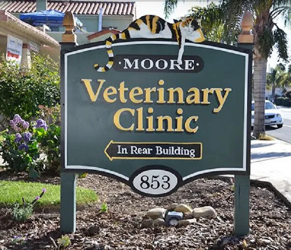 Moore Veterinary Care: Dr. Karen Moore DVM Picture 1