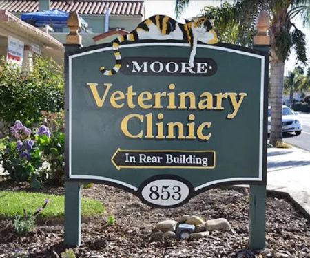 Moore Veterinary Care: Dr. Karen Moore DVM