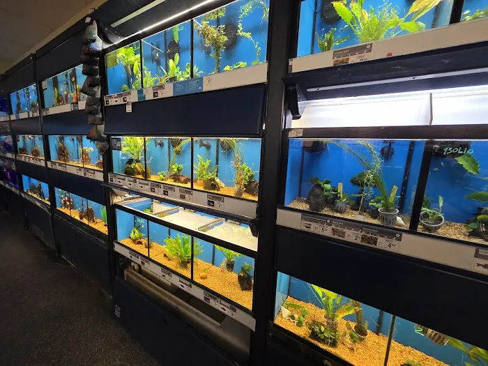 Petco Picture 3