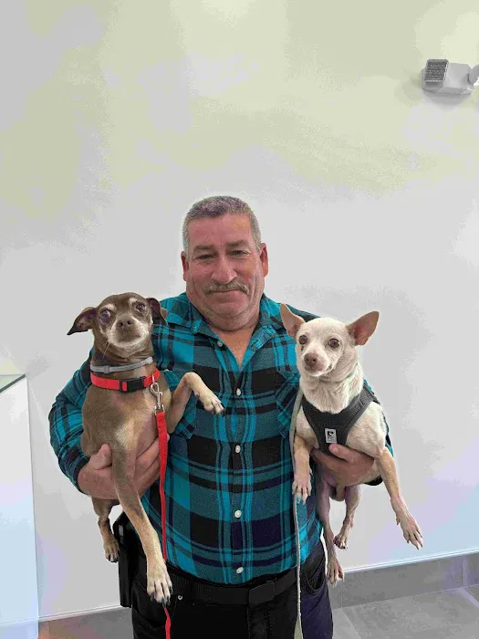 Brighter Veterinary Center Picture 4