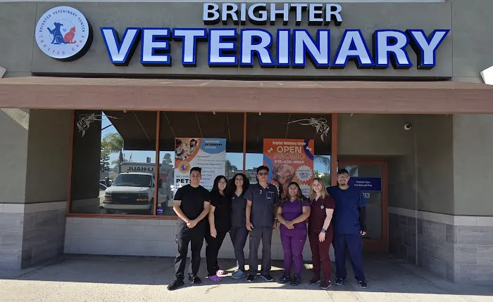 Brighter Veterinary Center Picture 6