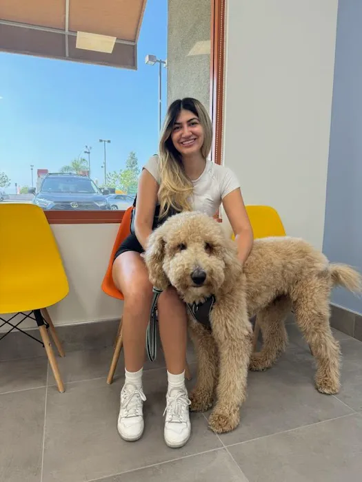 Brighter Veterinary Center Picture 10